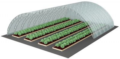 greenhouse